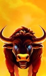 Big Wild Buffalo 2